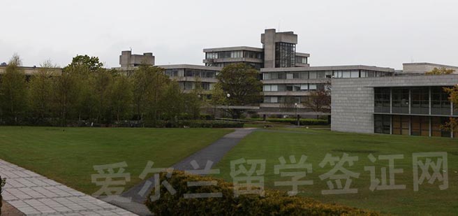 都柏林大学