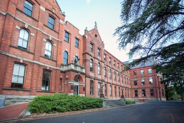 UCD Smurfit商学院.jpg