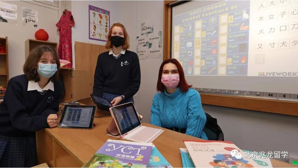 「中文」在2022年的爱尔兰高考(Irish Leaving Certificate)中正式成为考试科目之一.jpg