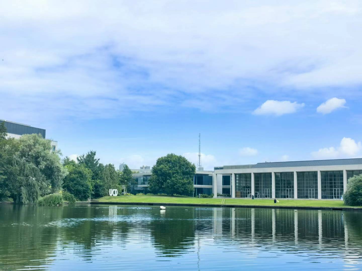 都柏林大学参观 (1).jpg
